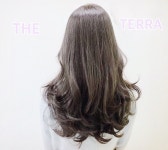 더 테라 헤어(THE TERRA) | 더테라헤어샵