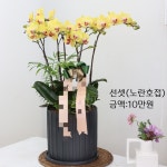 한샘꽃집조이플라워 | 플라워앤조이