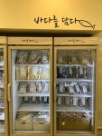 바담바다를담다 | 바다를담다