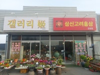 갤러리姬삼신고려인삼 | 갤러리희 삼신고려인삼