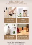 인셀덤 조이풀