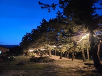 (주)그린하우스 대림통상 | 그린하우스