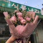 식물나라