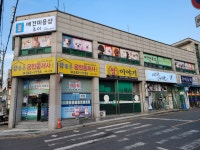 애견미용샵조이