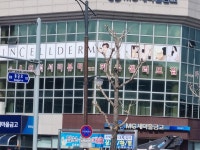 인셀덤코리아