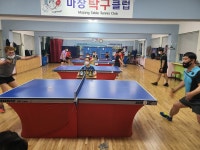 마장탁구클럽