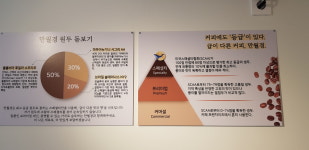 카페만월경영통5단지점 | 카페만월경 영통점
