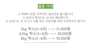 수신진영멜론농원 | 수신멜론보라농원