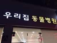 우리집동물병원