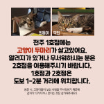 머더파커 방탈출 전주 1호점