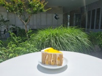 초당고래로스팅카페(RoastingCafe) | 초당고래로스팅카페
