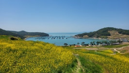 한스트래블(HAN`S TRAVEL) | 제임스한트래블