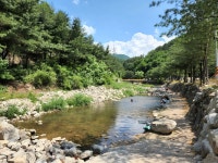 산정호수돌고래캠핑장