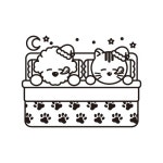 후기