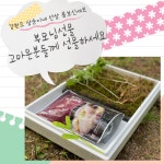 삼순이네(5호) | 강원도 삼순이네 산삼농장