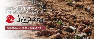 농사짓는 땅에서 바로