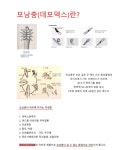 올가드림뷰티정읍사점 | 올가드림뷰티 전주 서신점