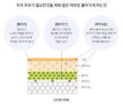 올네이션성북지사 | 올네이션북천안지사