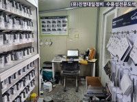 진영대일정비유 | 진영대일정비