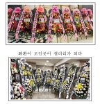 플라워아트갤러리AFG | 플라워갤러리