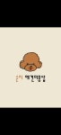 순애견미용샵 | 순지 애견미용샵
