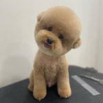 오늘도예쁘개