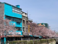 말풍선공작소미술교습소 | 말풍선미술공작소