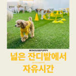 훼미리마트 송탄터미널 | 딩굴댕굴 송탄점