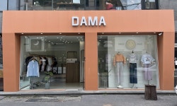 다마