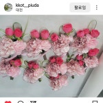 꽃피우다