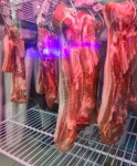진담산격점 | 진담 산격점