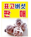 걸포인삼표고농장 | 사랑이네표고농장