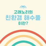 고래노리키즈풀 워터룸