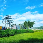 (주)룩스미디어 | 룩스 안성