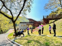 Foto aus Naver-Suchergebnissen 6