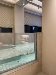 포시즌키즈풀