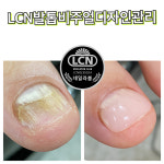LCN라운지 네일라붐 대전유성점
