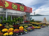태양농원
