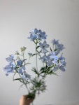 김아림꽃화원 | 꽃화원