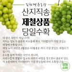 김천땡큐농장