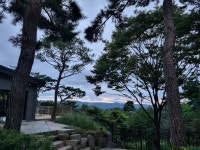 산속애