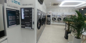 워시팡팡공군부대점 | 워시팡팡 부산당감점
