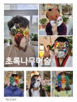 초록당근미술교습소 - 원주시 남원로469번길 41 | 초록나무 미술교습소
