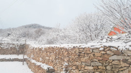 รูปภาพผลการค้นหา Naver 6