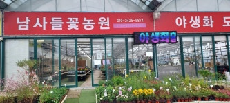 천사로농원 | 남사들꽃농원