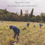 신소희헤어스튜디오 | 소희헤어
