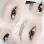 쉬즈래쉬(She's Lash) | 래쉬즈