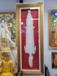 삼동불교사