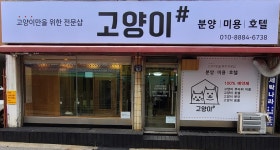 고양이아울렛거창점 | 고양이샵