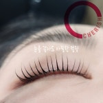 체리쉬